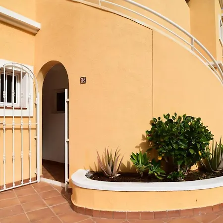 Colonial * 阿德耶